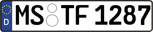 MS-TF1287