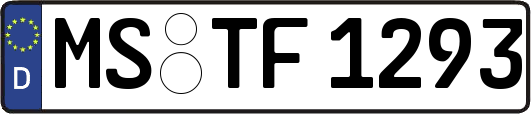MS-TF1293
