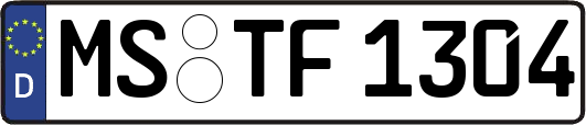 MS-TF1304