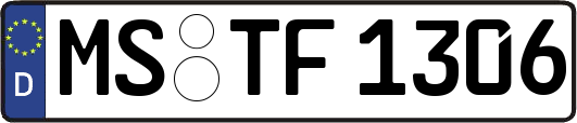 MS-TF1306