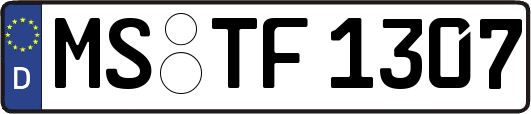 MS-TF1307