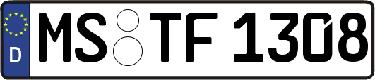MS-TF1308