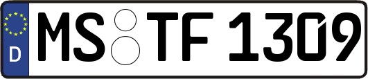 MS-TF1309