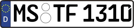 MS-TF1310