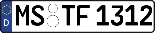 MS-TF1312