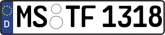 MS-TF1318