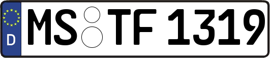 MS-TF1319