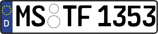 MS-TF1353