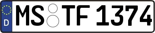 MS-TF1374