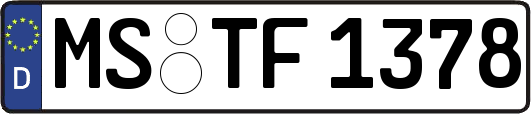 MS-TF1378
