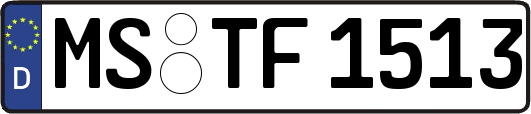 MS-TF1513