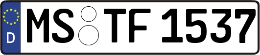 MS-TF1537