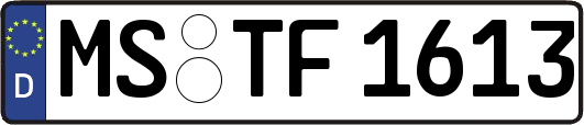 MS-TF1613