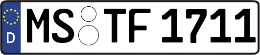 MS-TF1711
