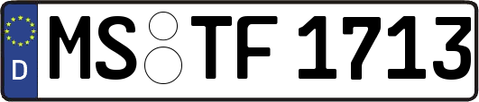 MS-TF1713