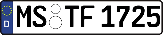 MS-TF1725