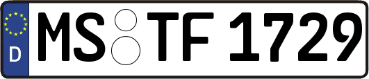MS-TF1729