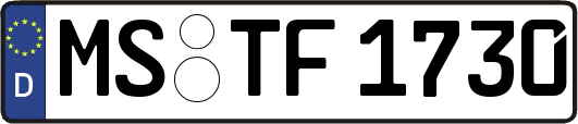 MS-TF1730