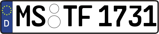MS-TF1731