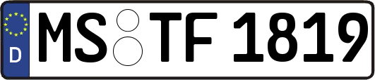 MS-TF1819