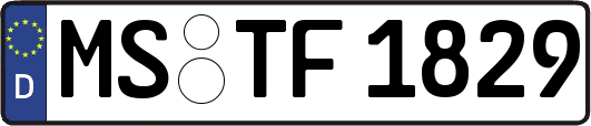 MS-TF1829