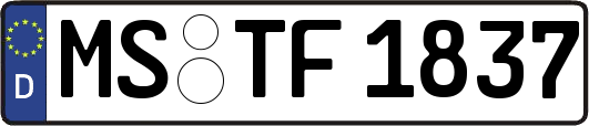 MS-TF1837