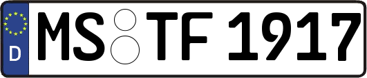 MS-TF1917