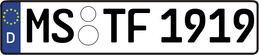 MS-TF1919