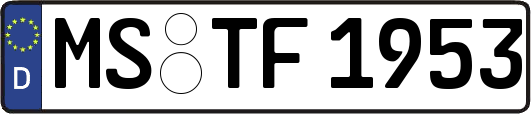 MS-TF1953