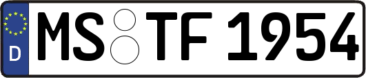 MS-TF1954