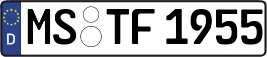 MS-TF1955