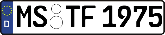 MS-TF1975