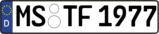 MS-TF1977