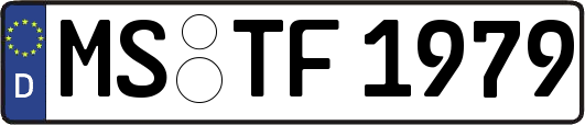MS-TF1979