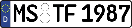 MS-TF1987
