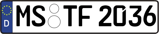 MS-TF2036