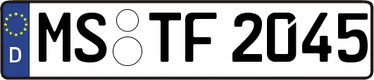 MS-TF2045
