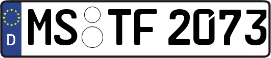 MS-TF2073