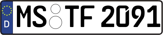 MS-TF2091