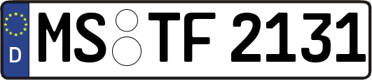 MS-TF2131