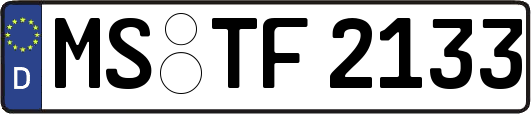MS-TF2133