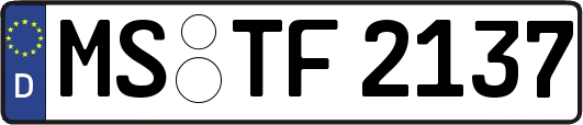 MS-TF2137