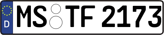 MS-TF2173