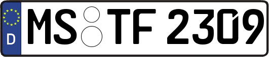 MS-TF2309