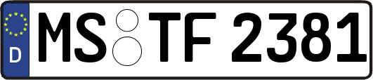 MS-TF2381