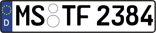 MS-TF2384