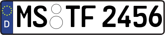 MS-TF2456