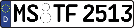 MS-TF2513