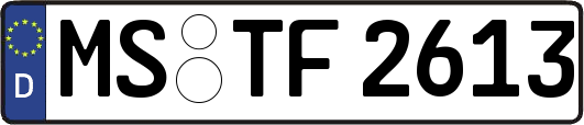 MS-TF2613