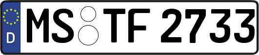MS-TF2733
